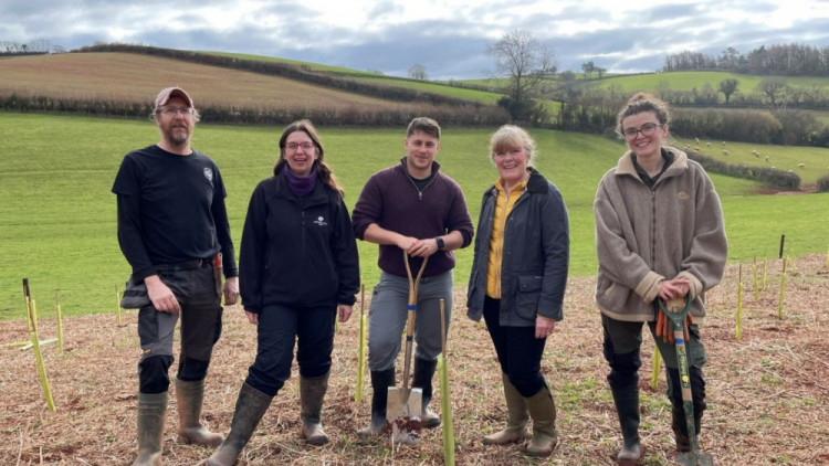 The trees will restore populations and support local wildlife (Devon County Council) 