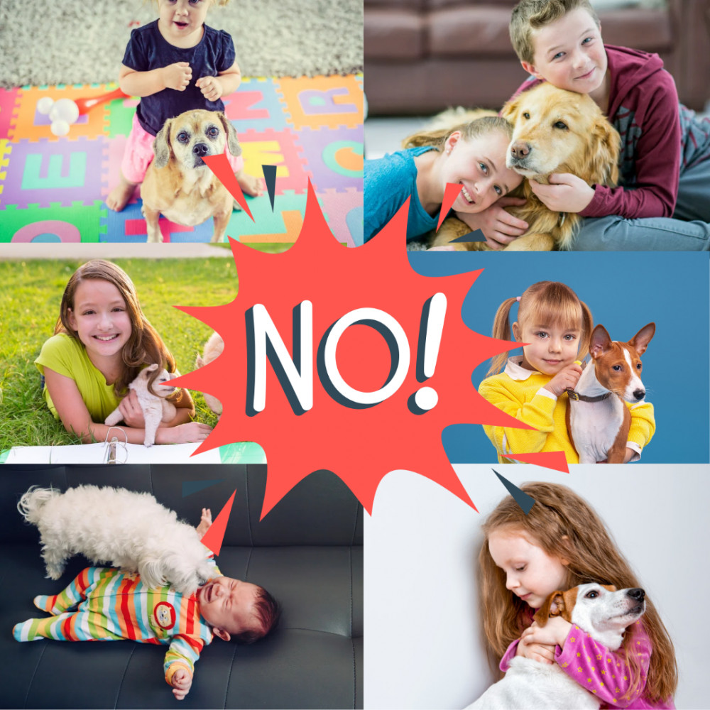 Keeping children safe with dogs is today's advice. (Photo:  'All to Play for')