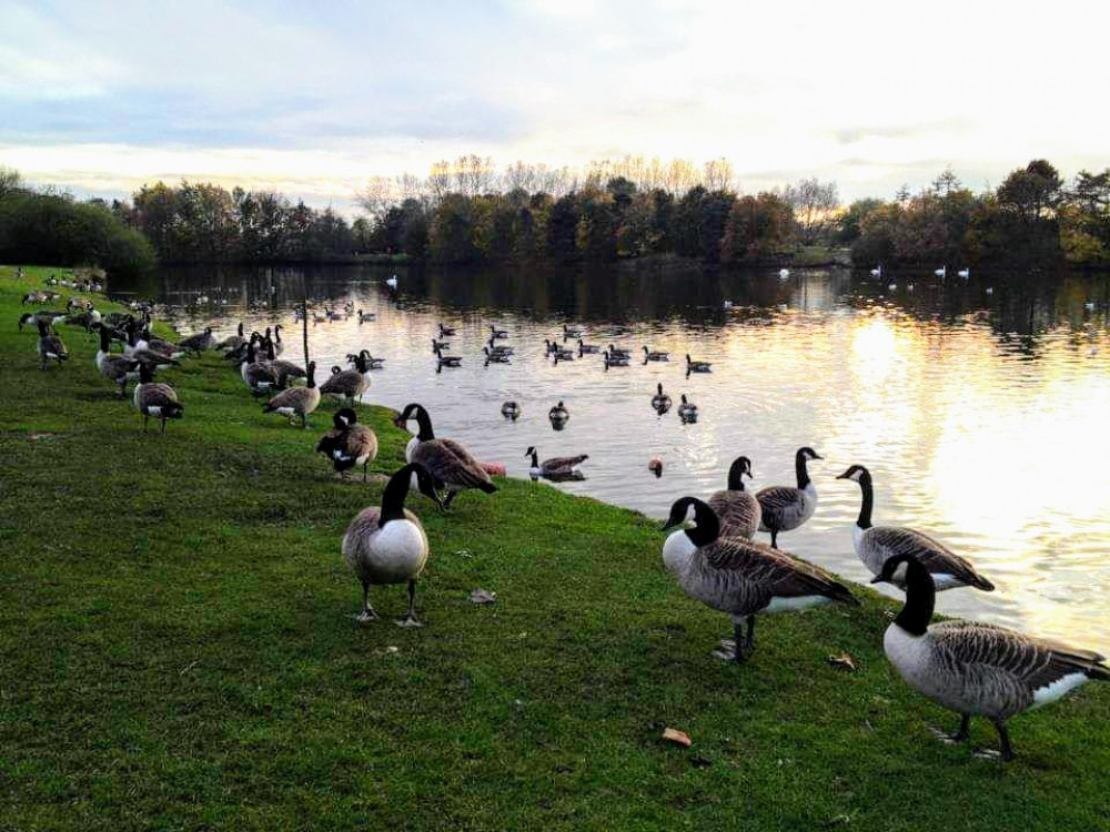 A 24-year-old man has been charged with a serious assault, following an incident on Thursday 10 August at Nantwich Lake on Shrewbridge Road (Jonathan White).