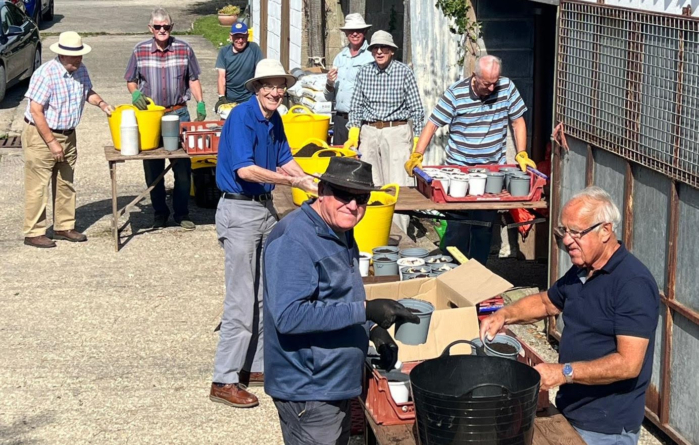 The Rotary Club of Bridport potting the bulbs