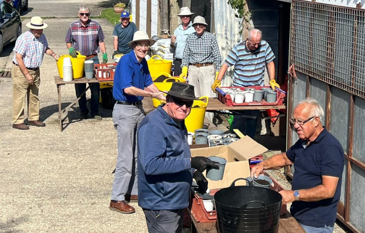 The Rotary Club of Bridport potting the bulbs