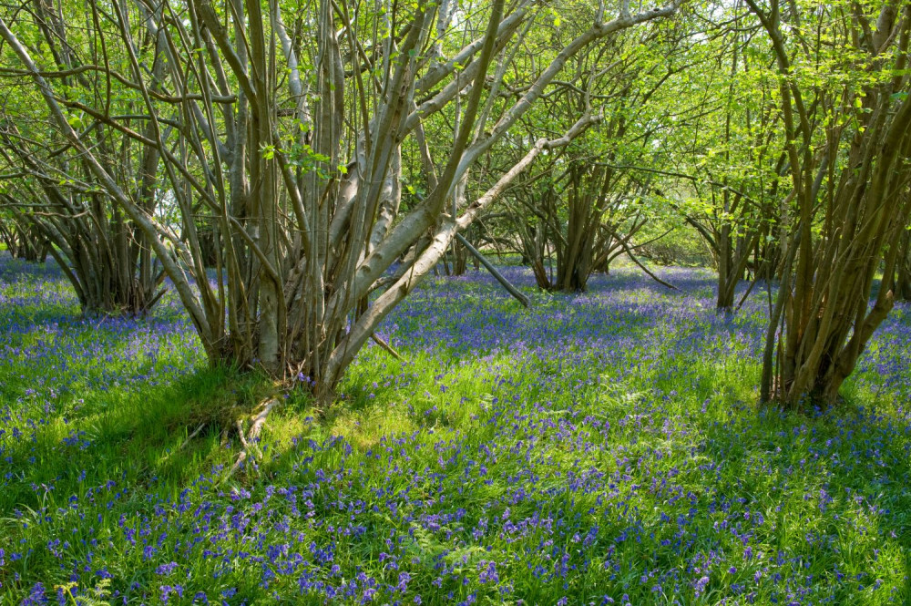 AONB funding (Picture: Tony Pick)