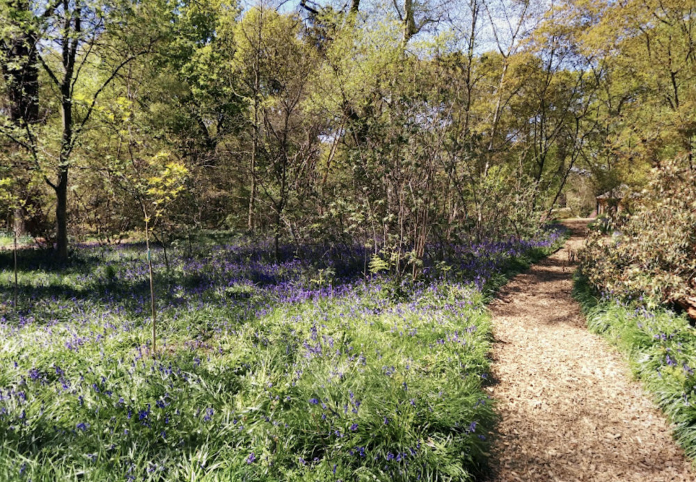 The Isabella Plantation and Pembroke Lodge Gardens will be closed to the public tomorrow. (Photo Credit: Google Maps).