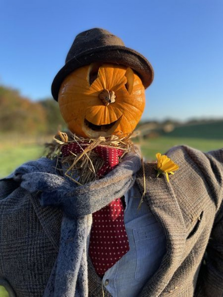 Why not make a scarecrow for next month's fun event?