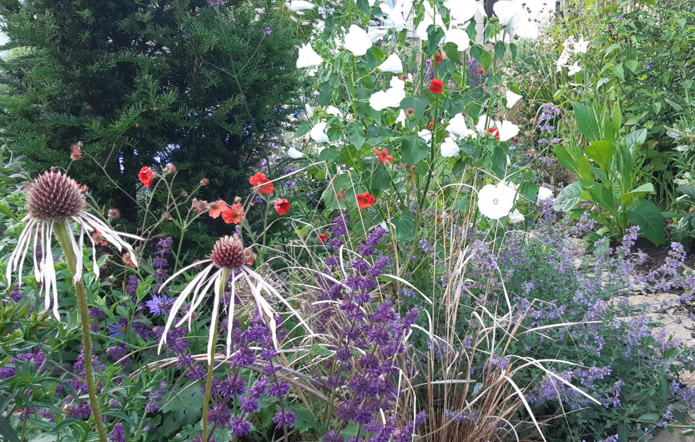 Gardening Masterclass