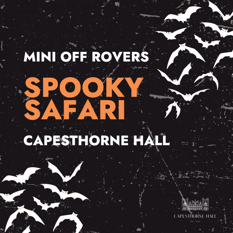 Mini Off Rovers - Spooky Safari Mini Off Rovers - Spooky Safari