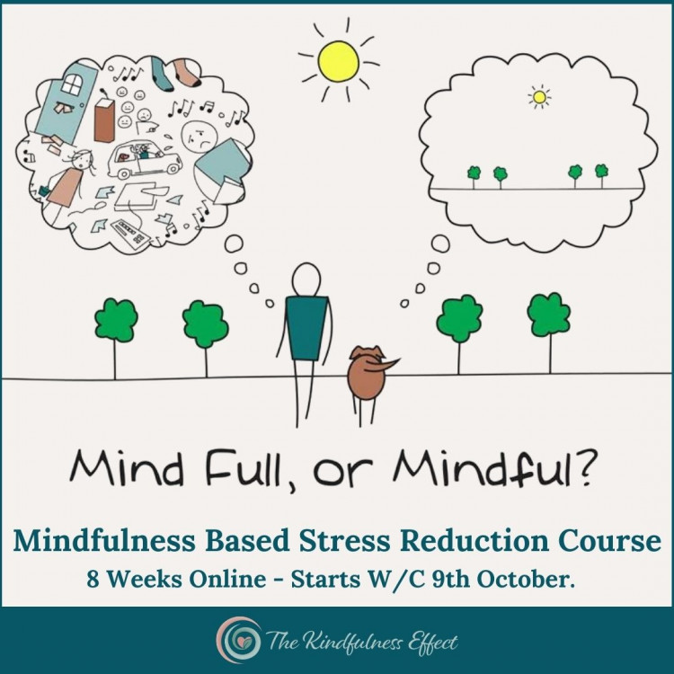 Mindfulness Based Stress Reduction Course - 8 weeks online Mindfulness Based Stress Reduction Course - 8 weeks online