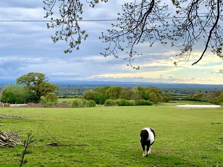 Longley Lane