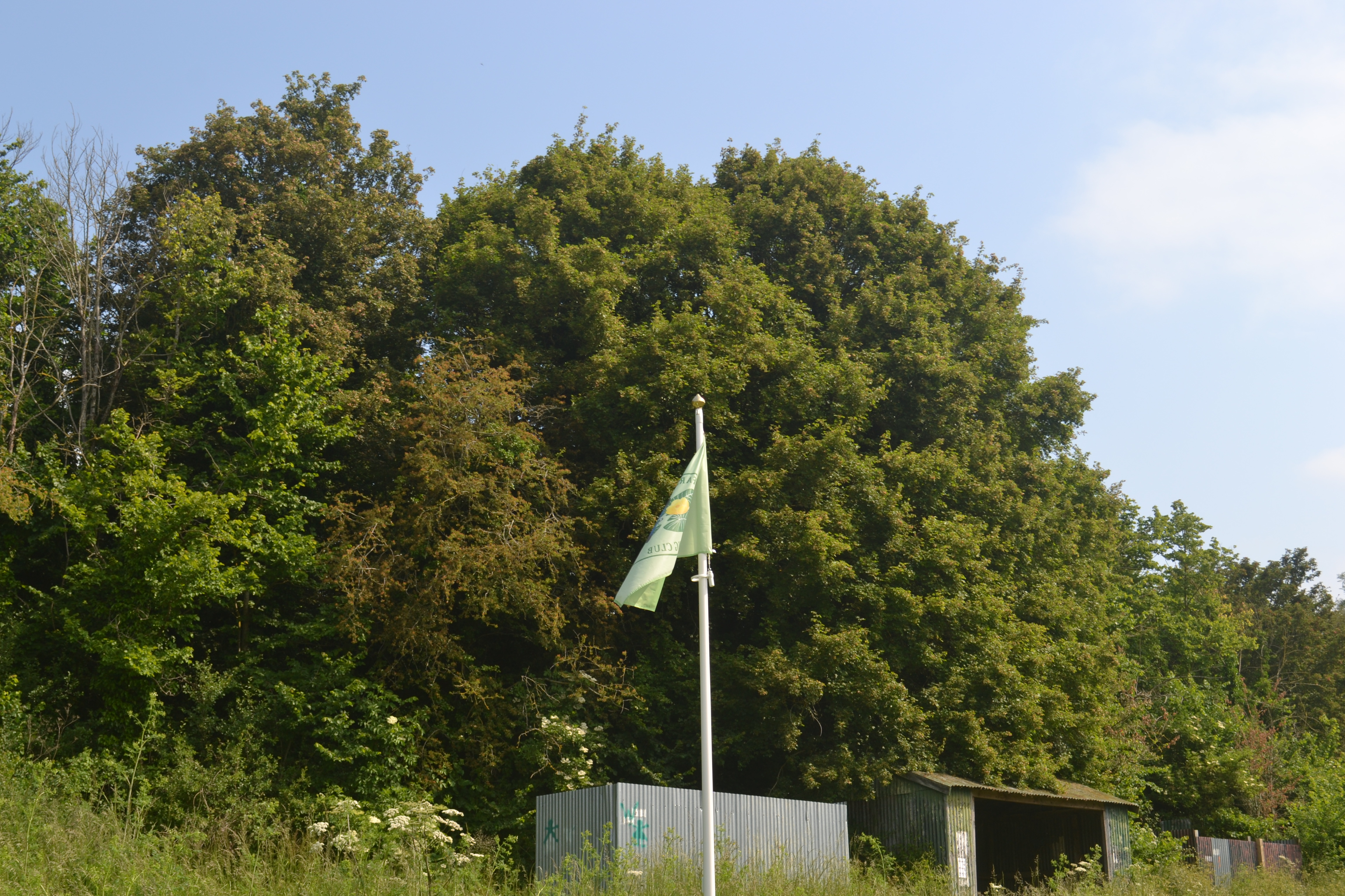 The flag will be lowered in his honour