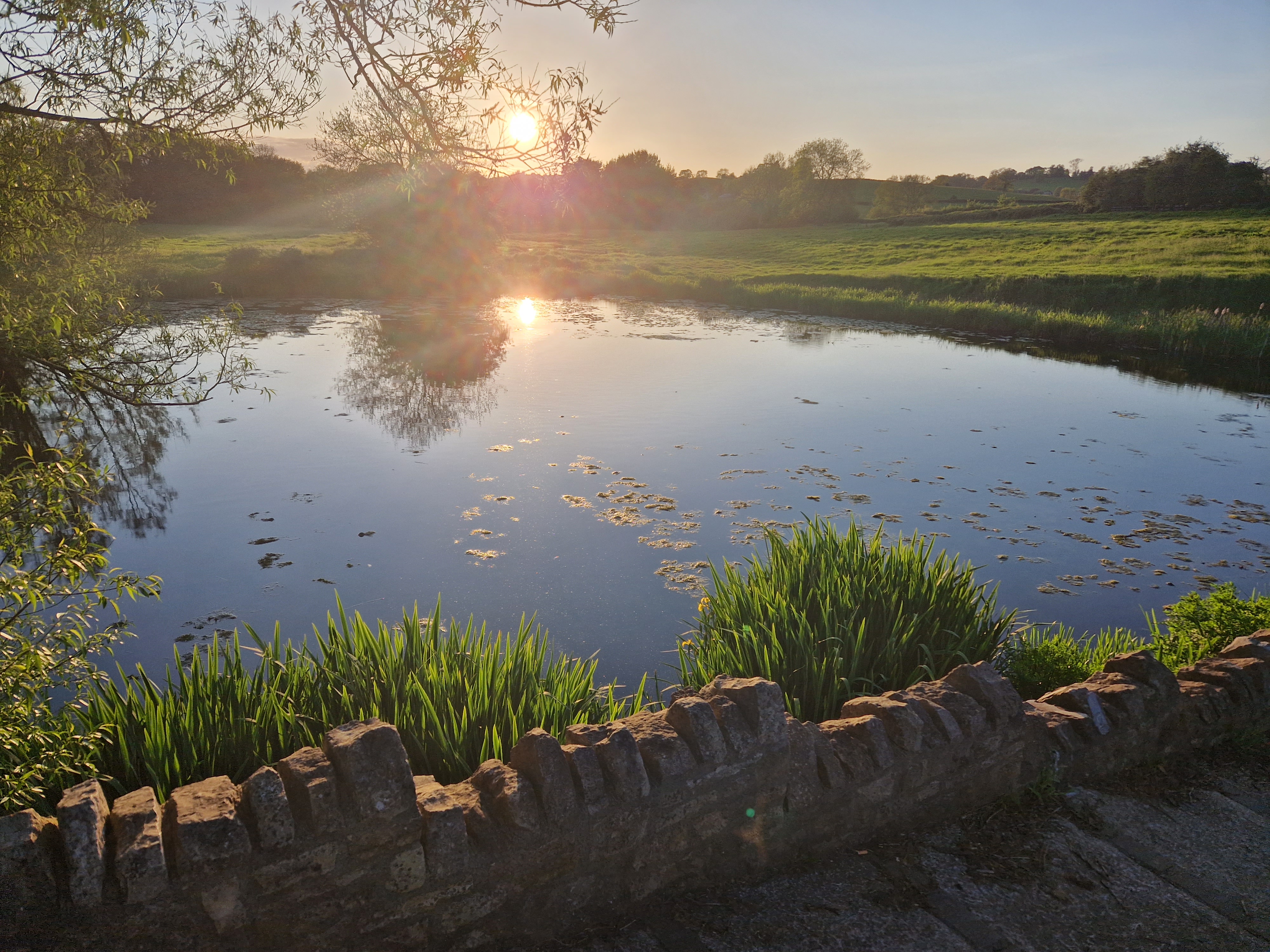 Paulton Basin