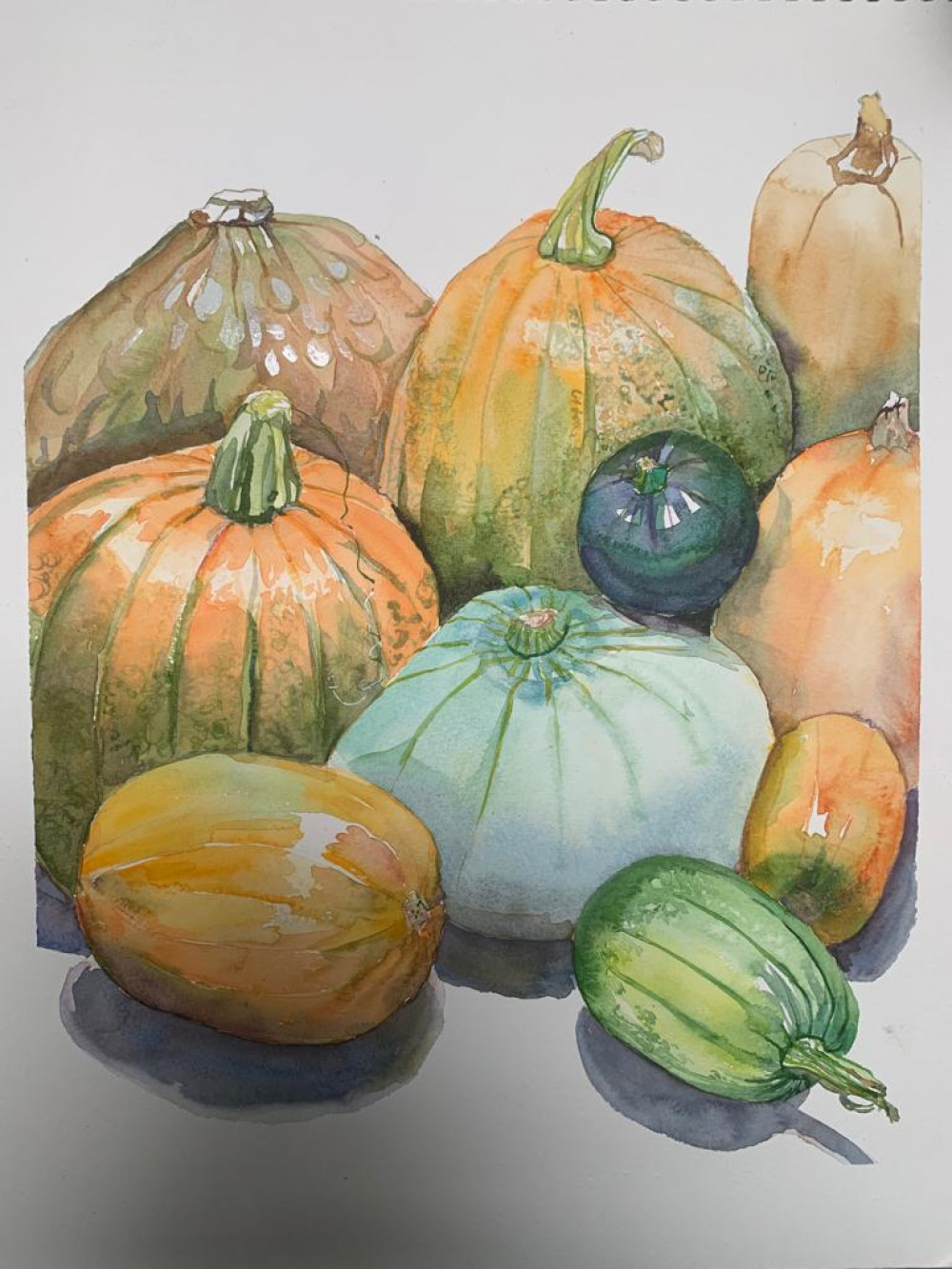 Watercolour Pumpkins & Gourds