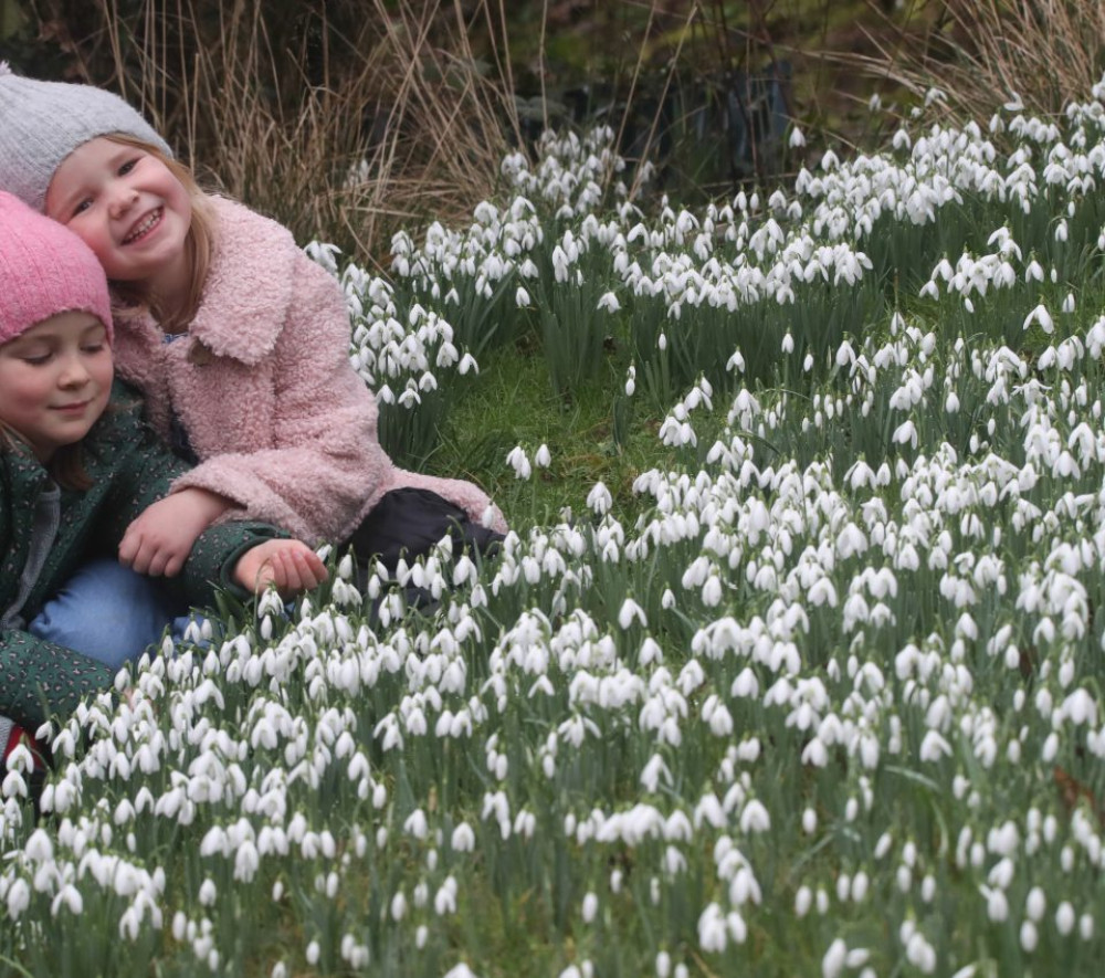 Sheptonn Snowdrop Festival