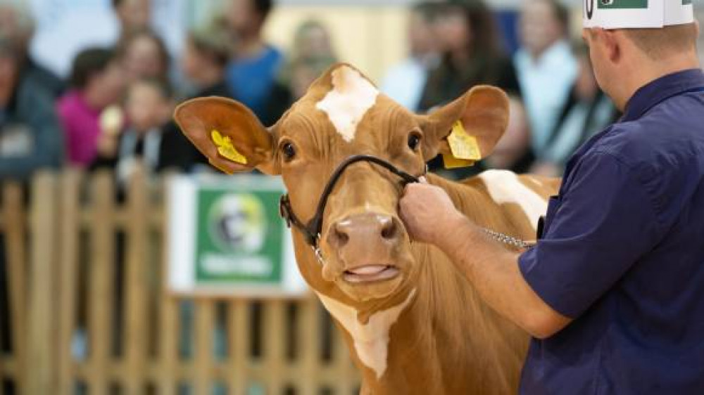 The Dairy Show at the Bath and West Showground