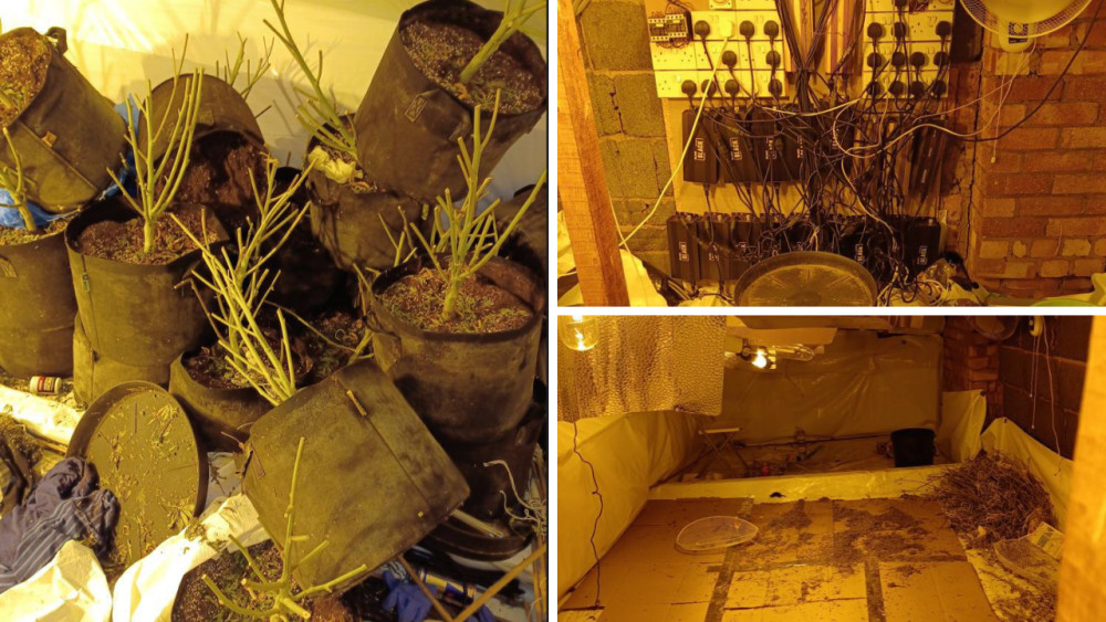 Two people arrested after raid on village cannabis farm 