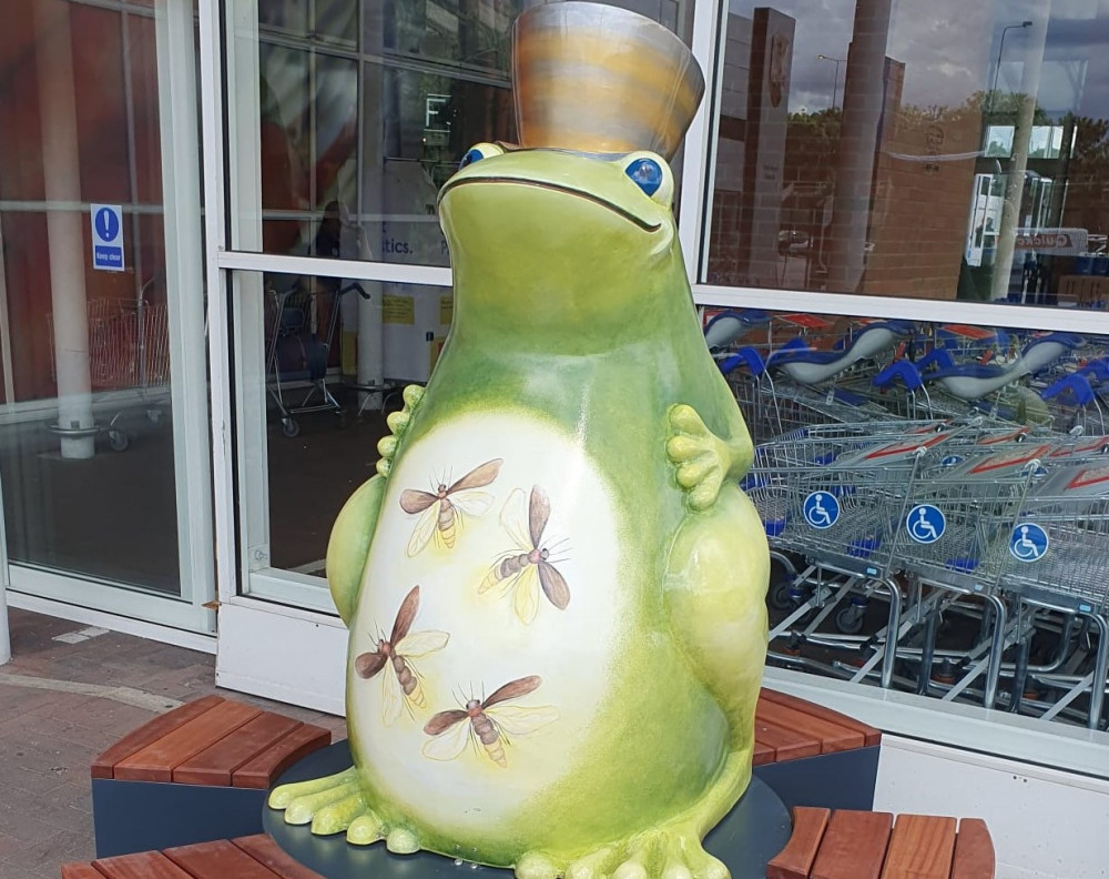 Fredison is ready for bids, as the Stockport 2023 frogs go up for auction (Image - Stockport NHSFT)