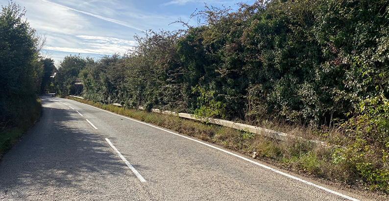 Barriers which could be removed on Waltons Hall Road. 