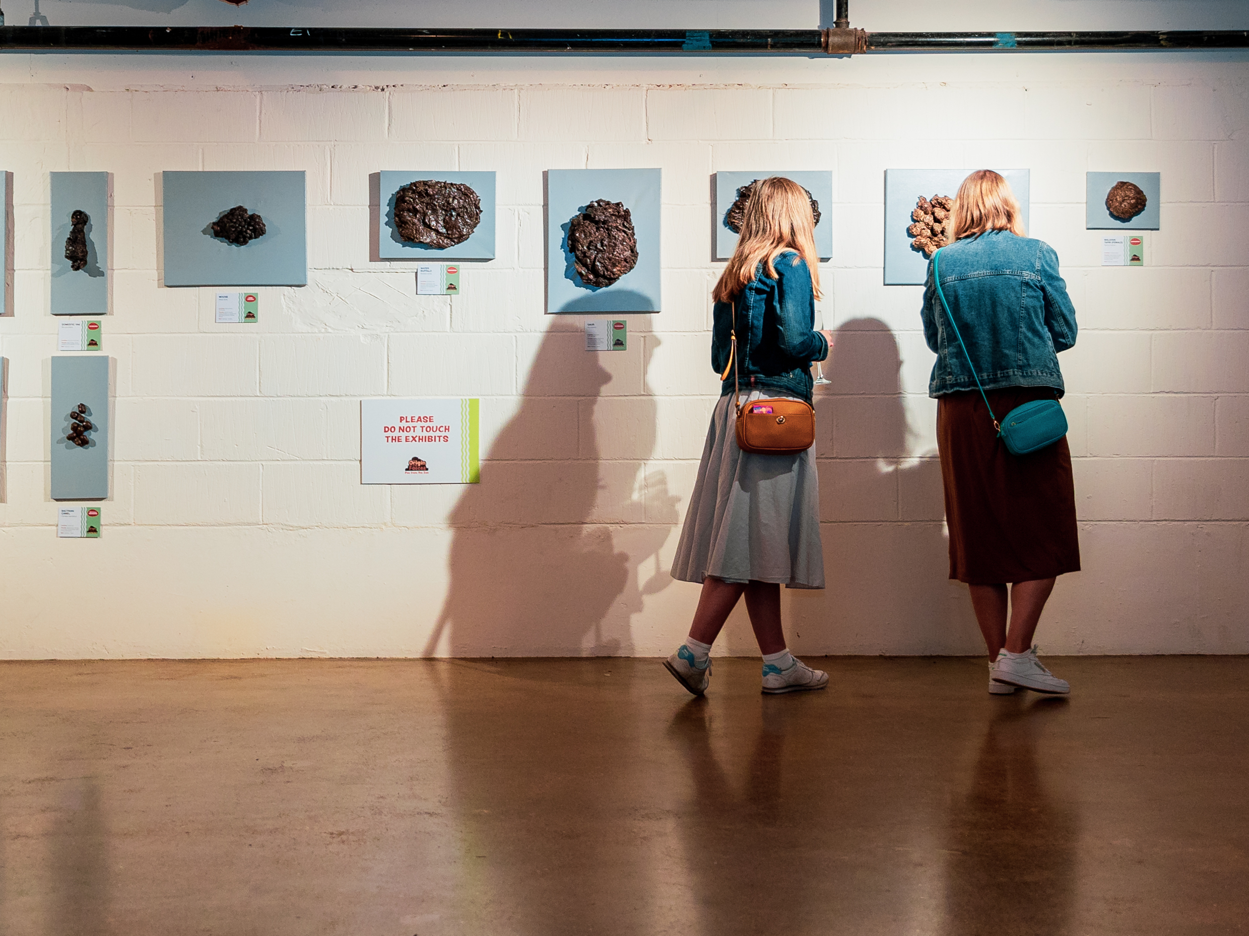 Visitors marvel at the unique artwork at Tracey Lee's 'The Origin of the Faeces' Exhibition at FUSEBOX (Photo by Stuart Tree)