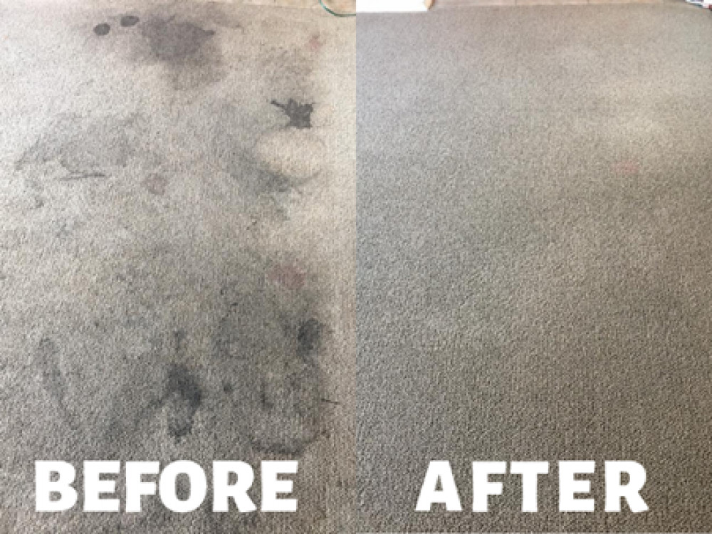 Cheshire Carpet Cleaning Co.