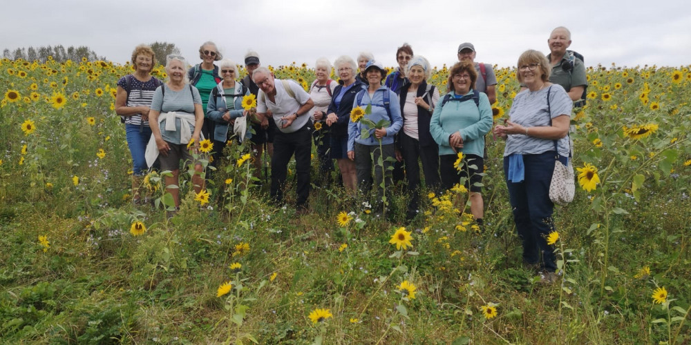 Mendip Ramblers on the Isle of Wight : Photo Chris Vowles 