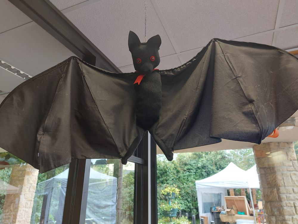 Fly high in your career: Bat time in Frome library photo Frome Nub News 