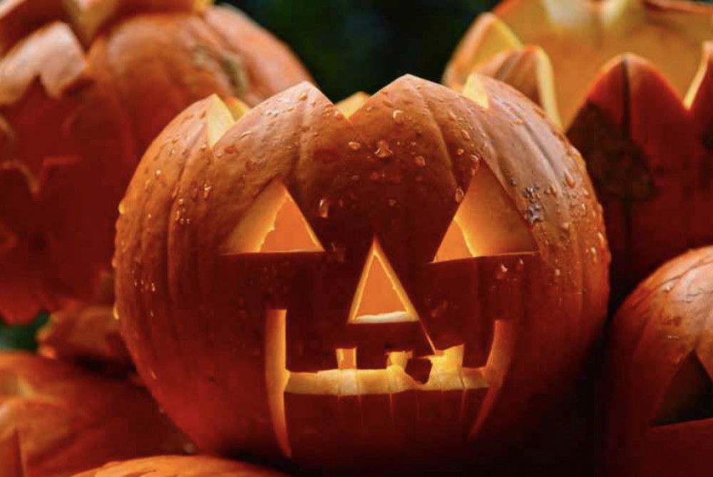 Welcome to What's On in Letchworth this Halloween weekend including Pumpkin Carving at Standalone Farm 