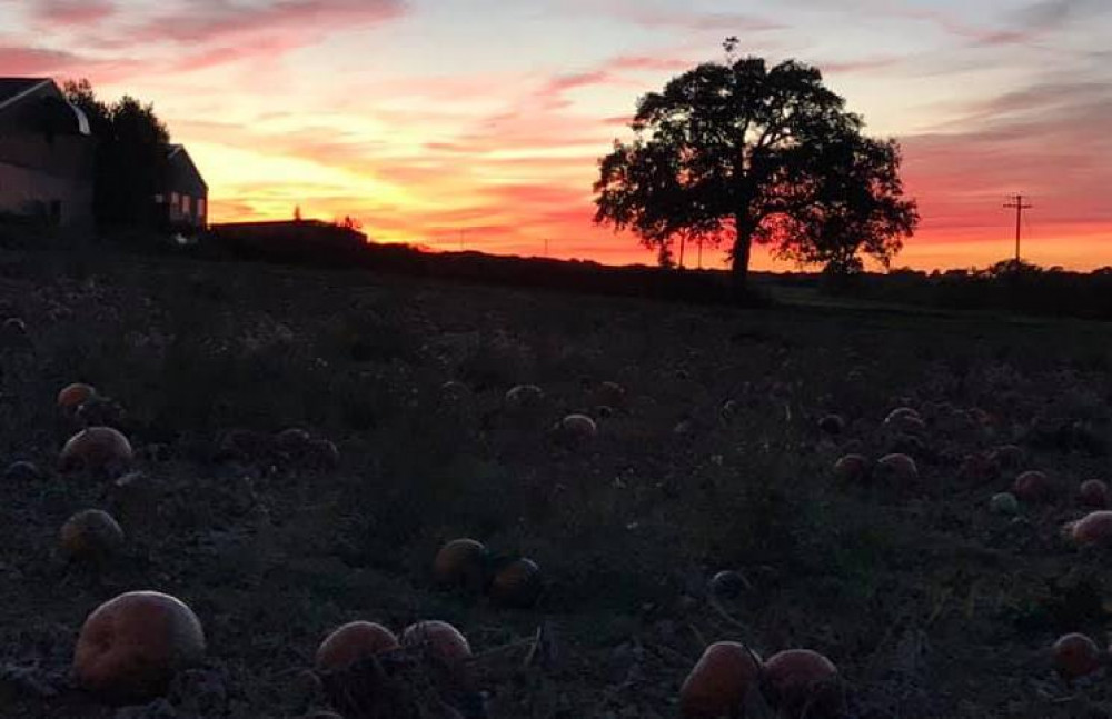 Pumpkin sunrise (Picture: SWNS)