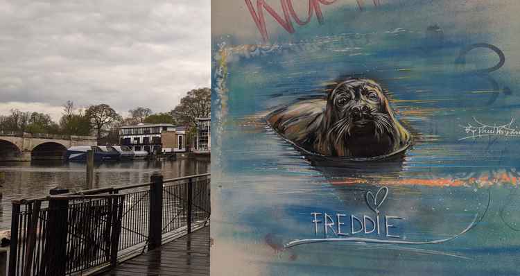 The mural is at Turks Pier on Kingston riverside