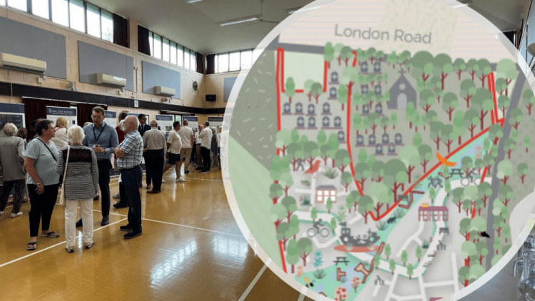 Resident Lois Wilmot is urging developers to reconsider their plans for 'Maldon Woods', a proposed 275-home development. (Composite: Ben Shahrabi)