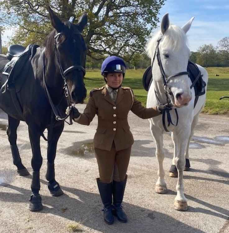 Hyderabad [left] and Twilight (AKA Sparkles) [right] a "small" 15 hands