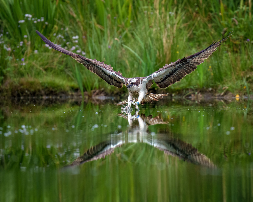 Wet and wild (Picture: SWNS)