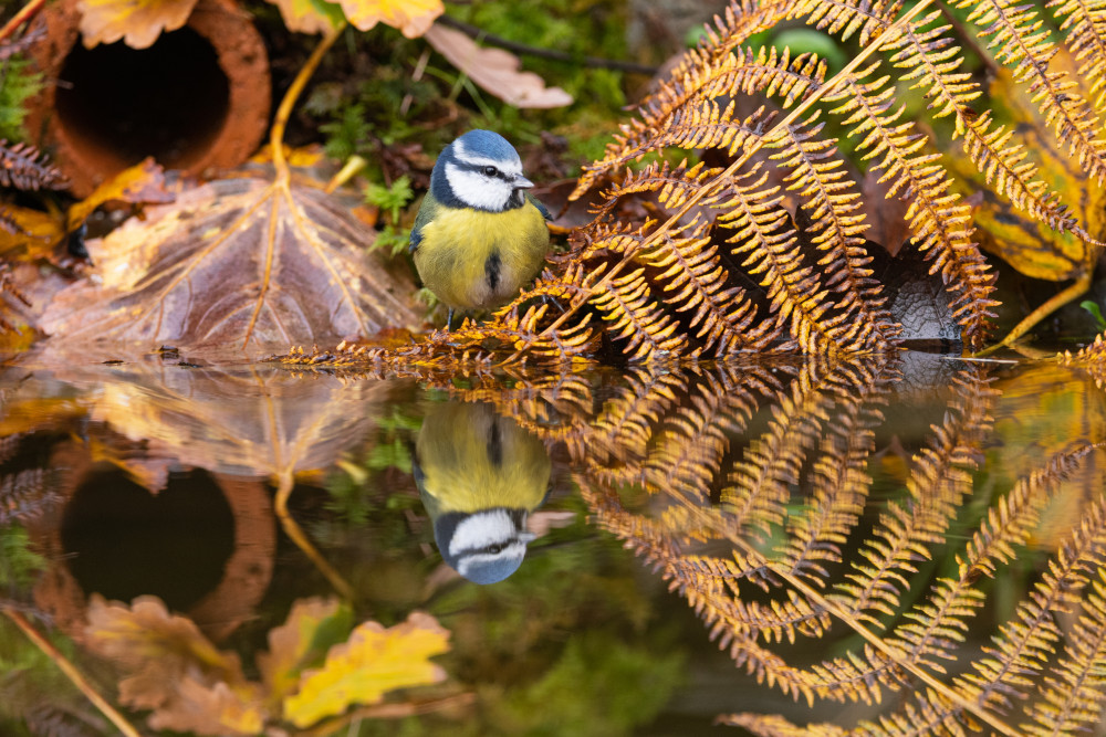 Time to reflect (Picture: Richard Bowler)