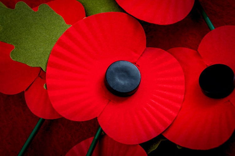 Remembrance Day Poppy Remembrance Day Poppy