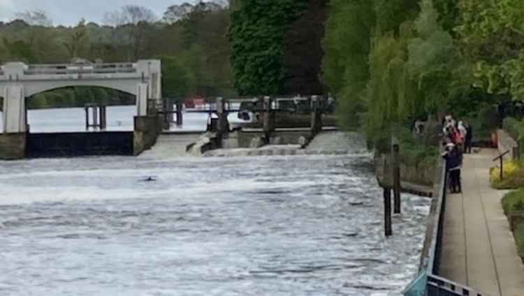 There were hundreds of onlookers watching by the banks / Credit: Stuart Higgins