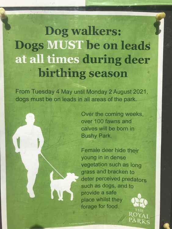 Dogs must be kept on leads through the summer months / Credit: Rory Poulter