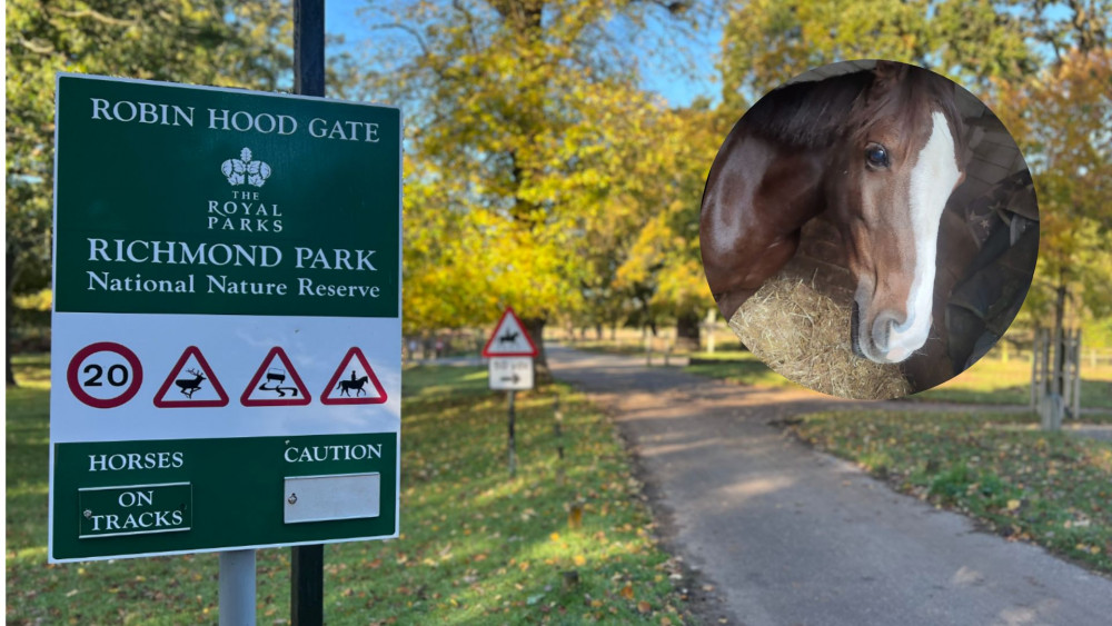 Police are appealing for witnesses following dog attack in Richmond Park. (Photo Credit: Royal Parks Police).