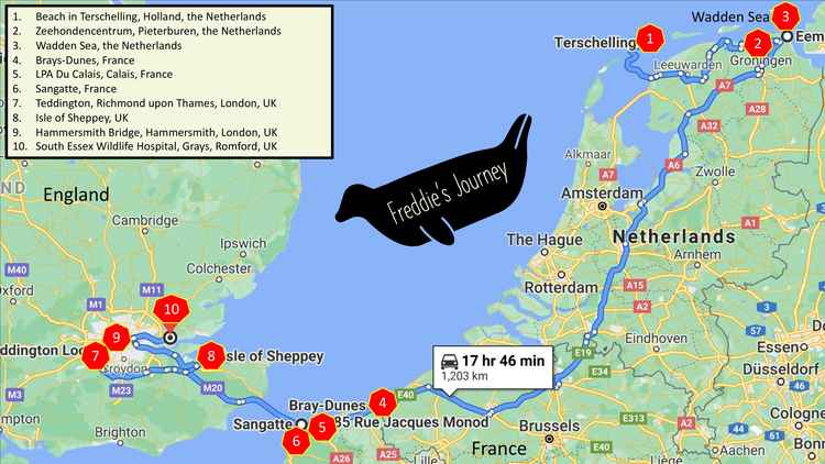 The map shows Freddie's incredible journey