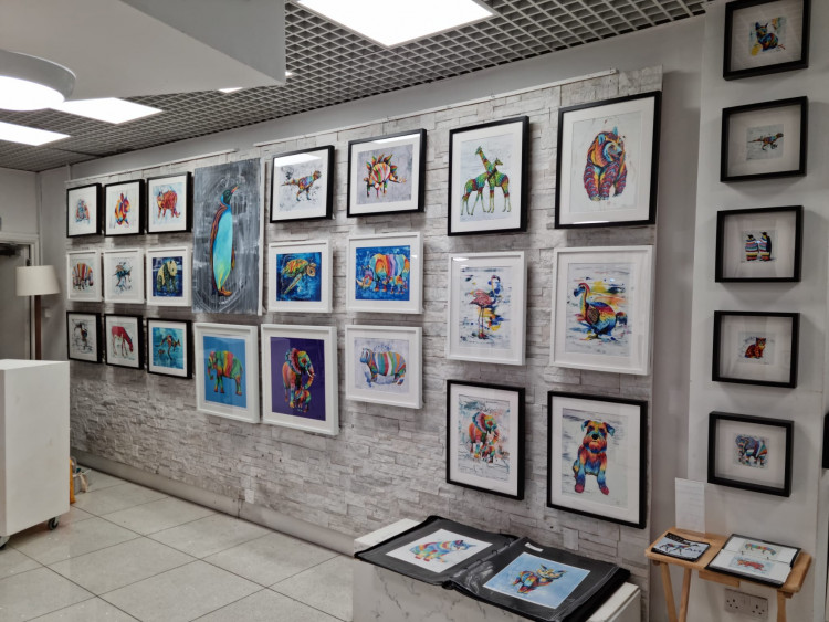 Rainbow Animals at the new gallery. (Photo: Supplied)