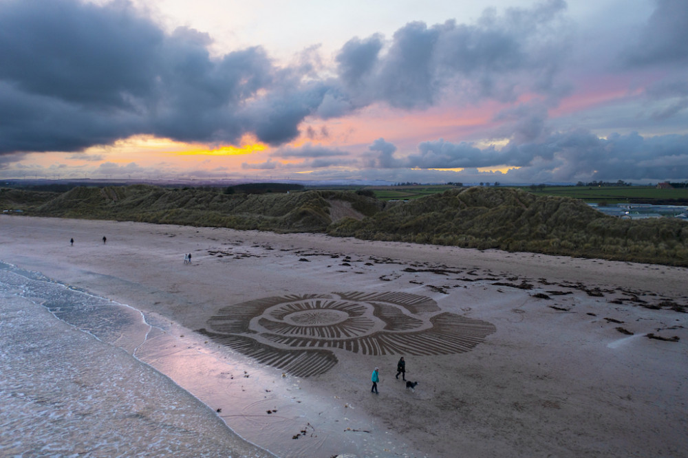 Poppy on the beach at sunset (Picture: SWNS)