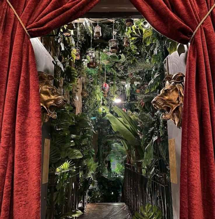 The bars have a unique decor style including this jungle-themed exit!
