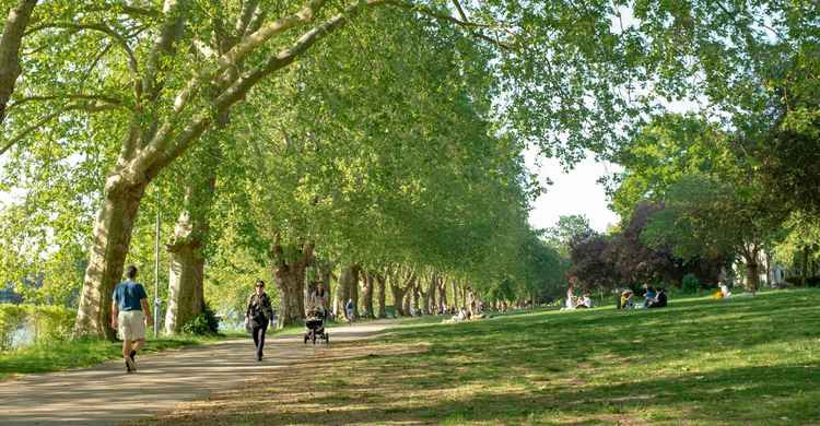 Sunseekers flocked to Canbury Gardens to take advantage of the balmy weather (Credit: Ollie Monk)