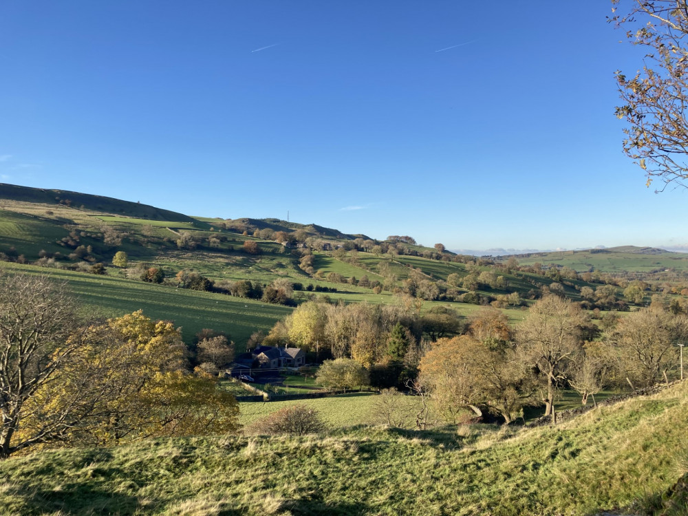 Neil's fundraising and counselling services both centre around the restorative powers of nature - this one million steps challenge is no exception (Image - Alasdair Perry)