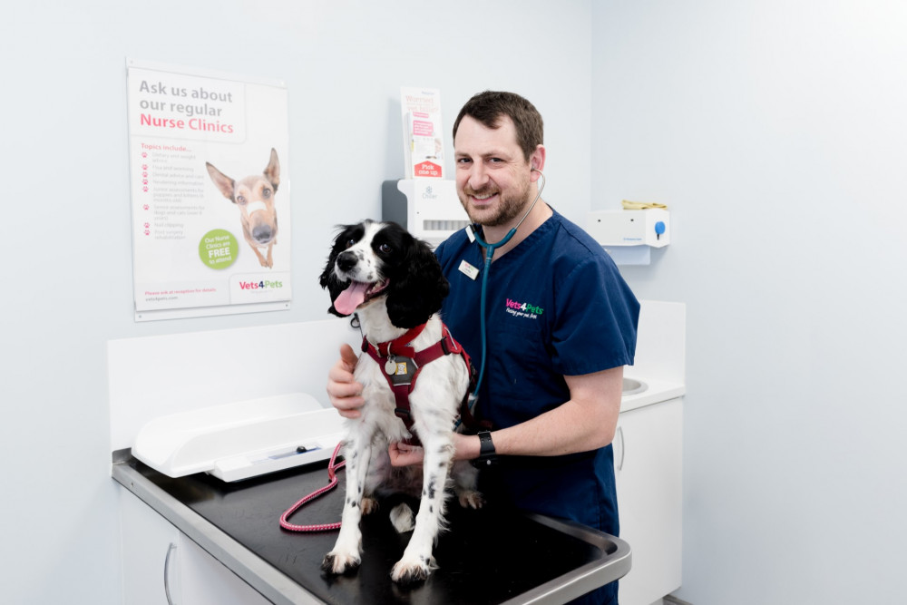 The veterinary nurse team is led by practice owner and Head Veterinary Nurse, Carl May (Photo: Vets4Pets)