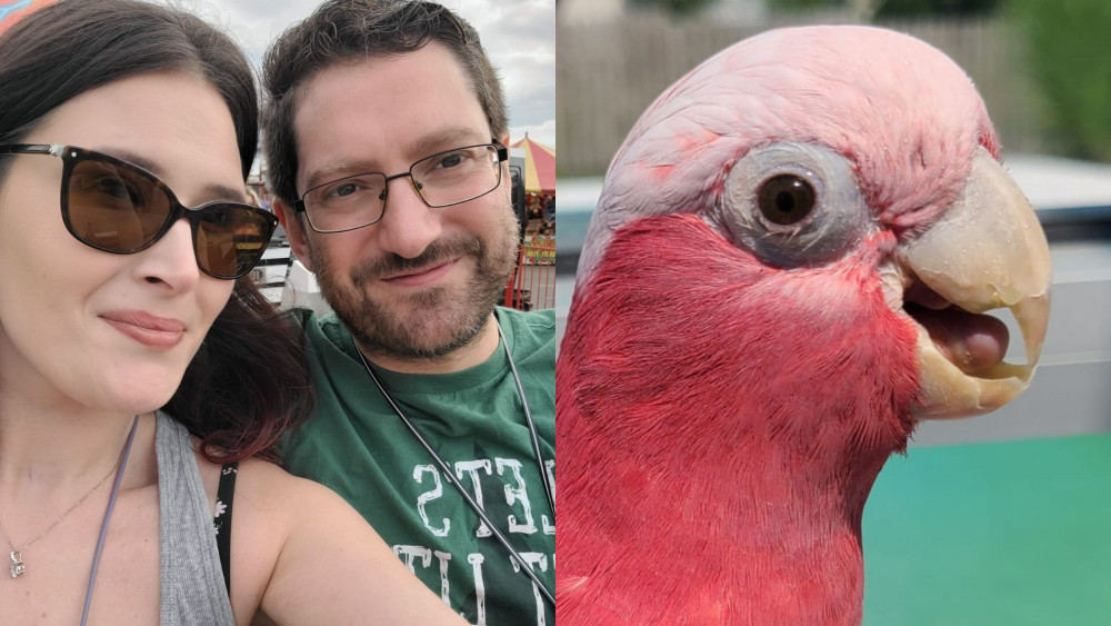 Pet cockatoo held at Heathrow for three months over paperwork issues. (Photo Credit: SWNS).