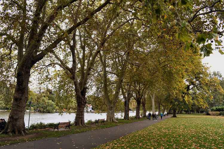 The dispersal zone covers Kingston riverside including Canbury Gardens (Credit: AndyScott via Wikimedia Commons)