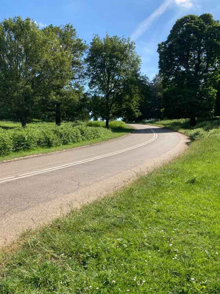 Broomfield Hill where a young deer was hit and killed by a cyclist