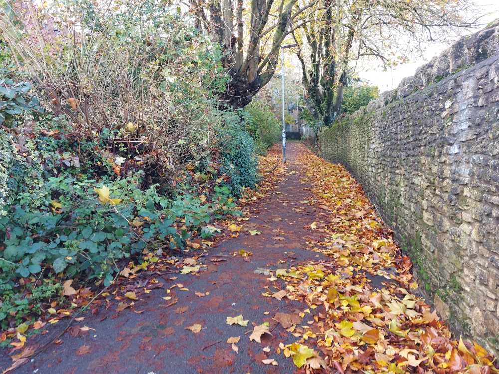Frome town centre November 13 : Photo Frome Nub News s 