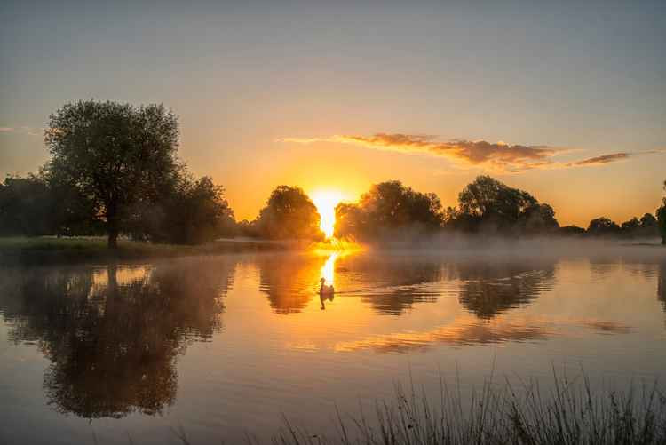 The 2019 Summer Solstice sunrise in Bushy Park, Teddington (Credit: Sue Lindenberg)The 2019 Summer Solstice sunrise in Bushy Park, near Kingston (Credit: Sue Lindenberg)