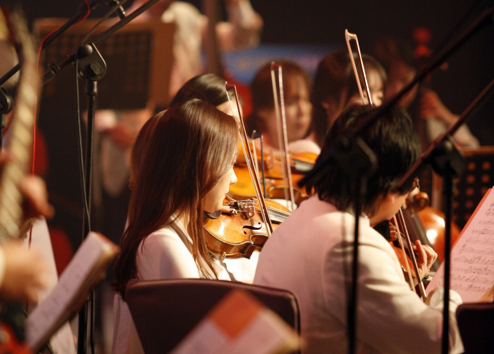 The National Youth Orchestra is coming to Warwick Arts Centre next year, with local musicians set to be included (image via pixabay)