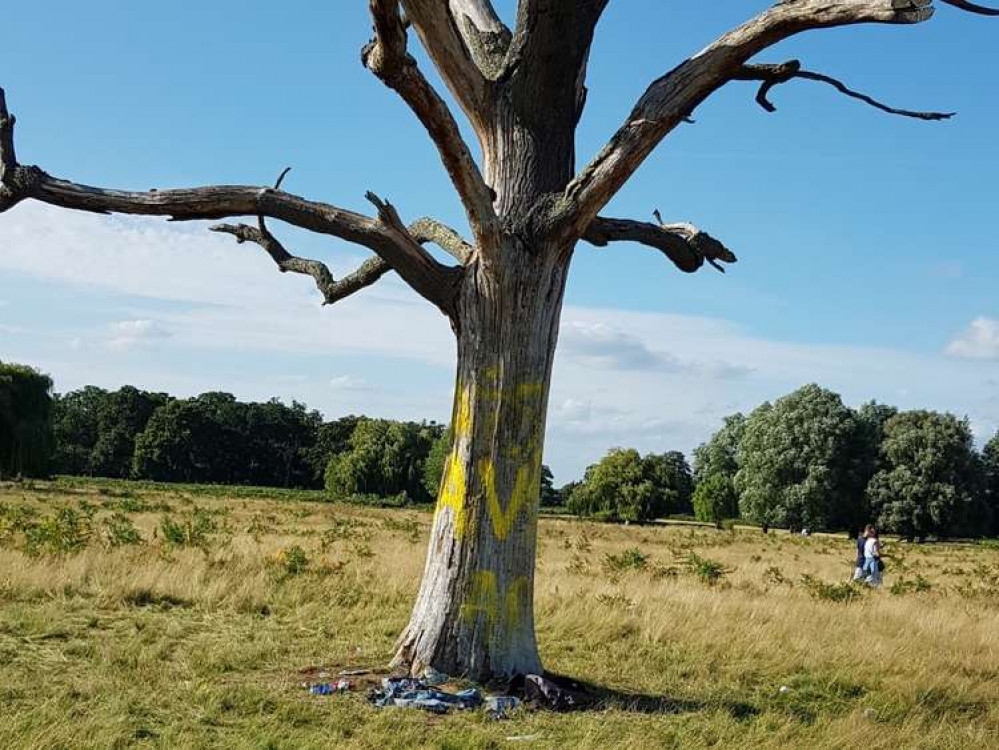 Graffiti was found on a tree in Bushy Park this morning (Image: Royal Park Police)