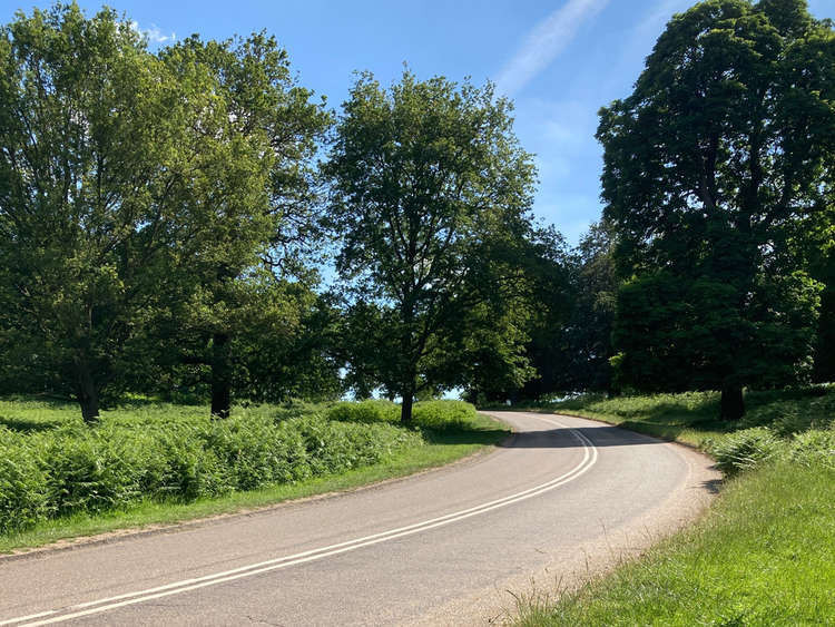 A parking fine was handed to the motorist after he parked on a footpath in Richmond Park